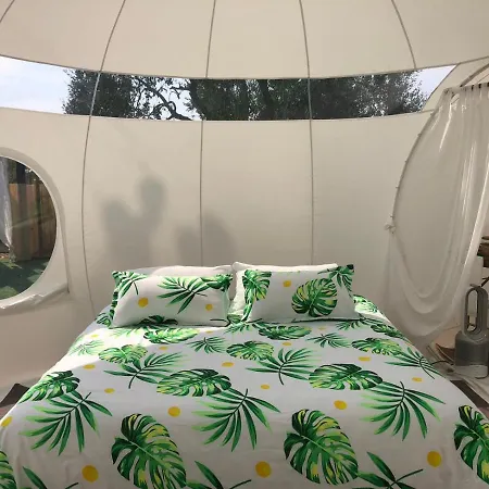 Apartment Bubble Garden Wild Love